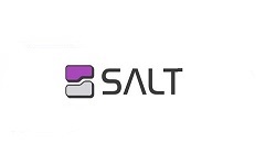 Salt Security  Logo